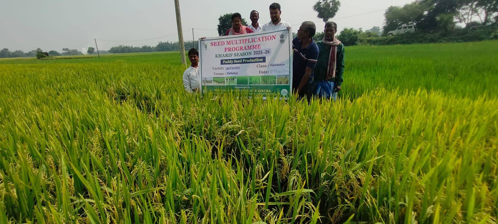 SMP Kharif 2025